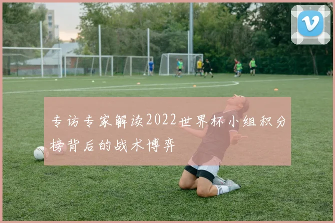 专访专家解读2022世界杯小组积分榜背后的战术博弈