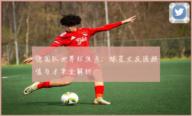 德国队世界杯焦点：球星女友团颜值与才华全解析