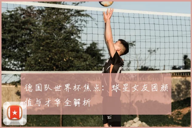 德国队世界杯焦点：球星女友团颜值与才华全解析