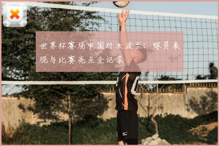 世界杯赛场中国对决波兰:球员表现与比赛亮点全记录