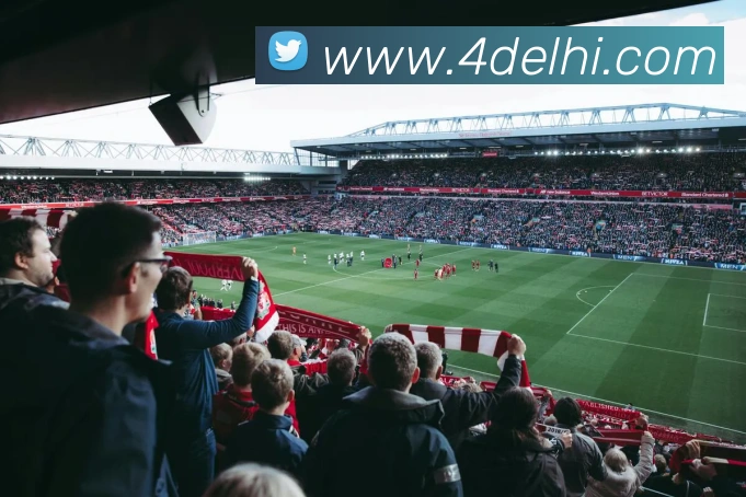 mk体育官方网站登录平台生态图